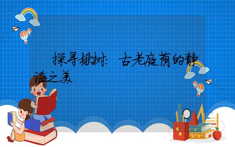 探寻楸树:古老庭荫的静谧之美